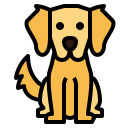 Cachorro