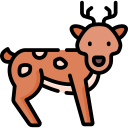 Cervo