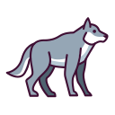 Lobo