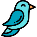 Passaro